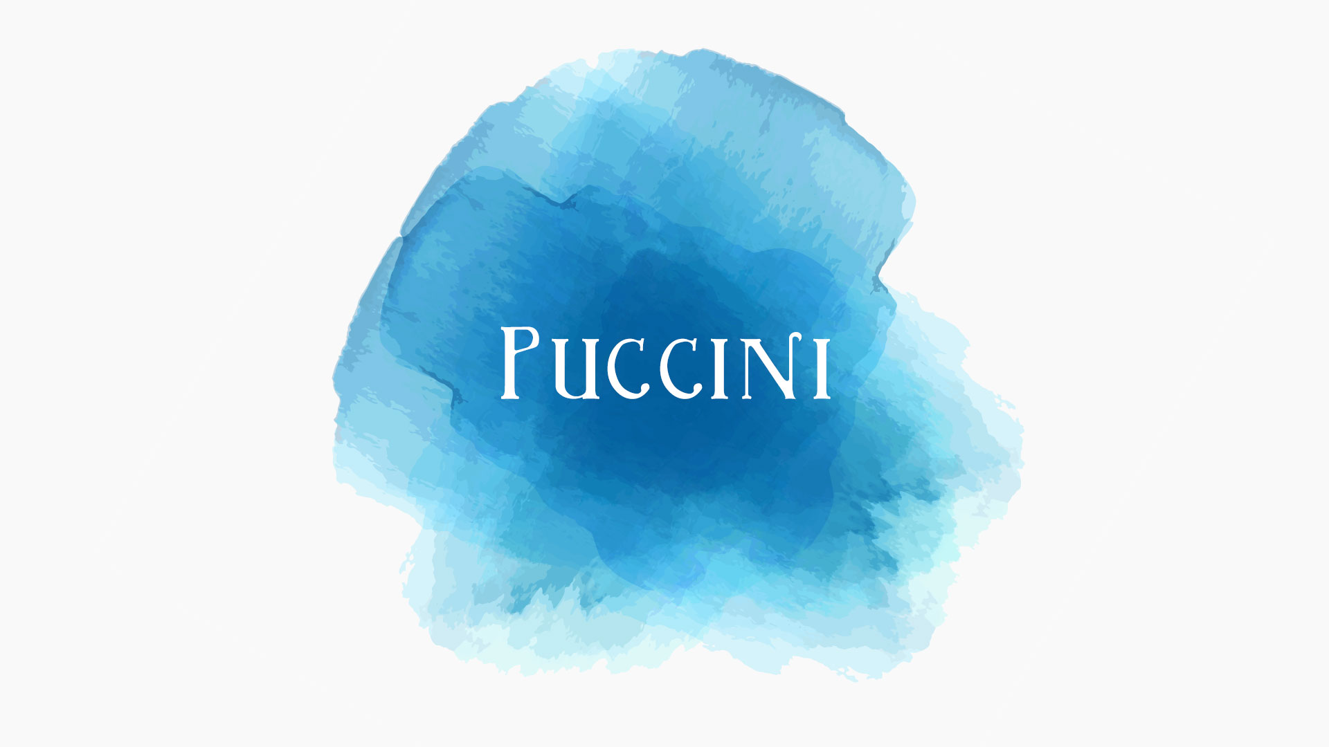 Omslagsbilete for Puccinifest